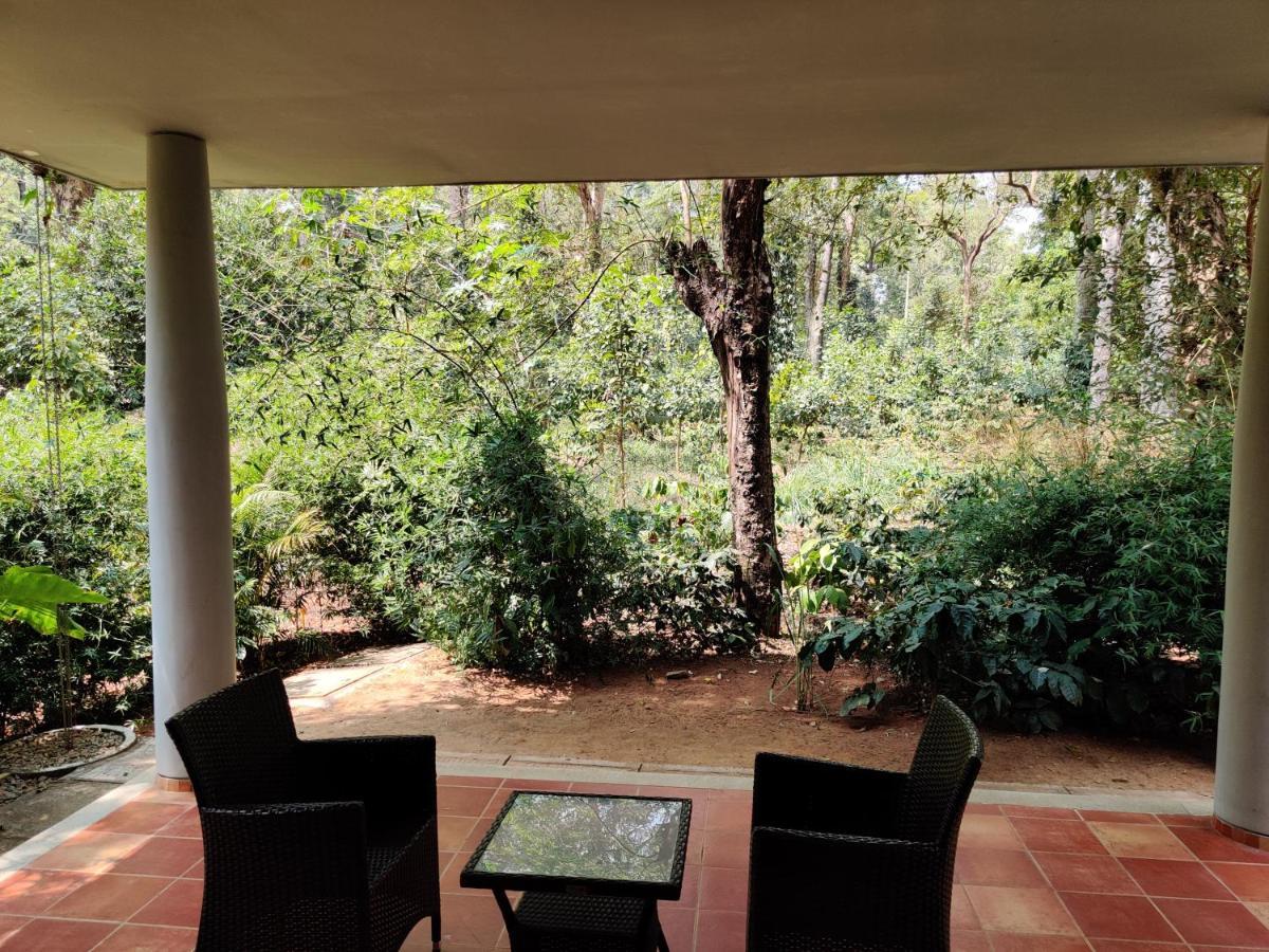 ホテル The Birchwood Retreat, マディケーリ エクステリア 写真